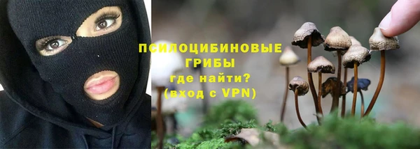 эйфоретик Алексеевка