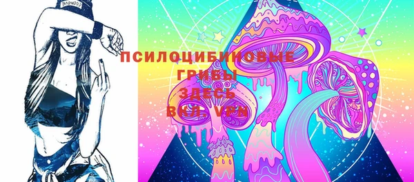 круглые Алзамай