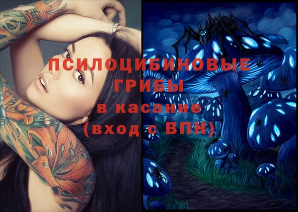 эйфоретик Алексеевка