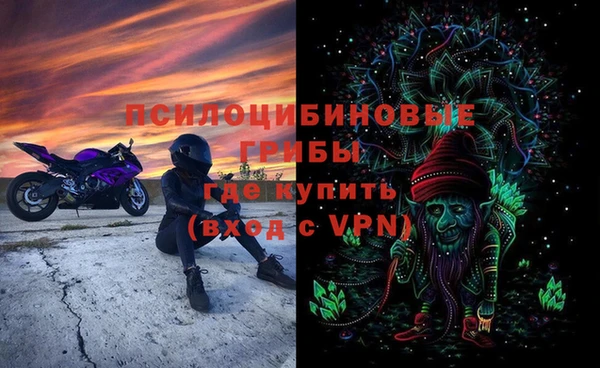 круглые Алзамай